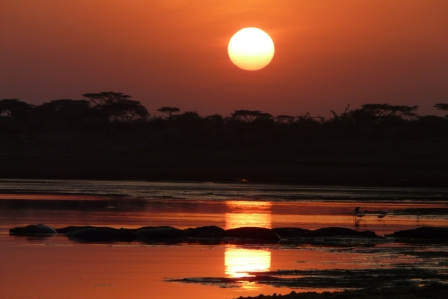 ndutu