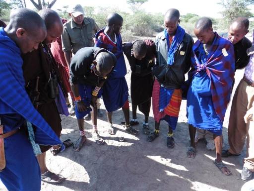 Observing and following lion tracks at Big Marsh, ndutu