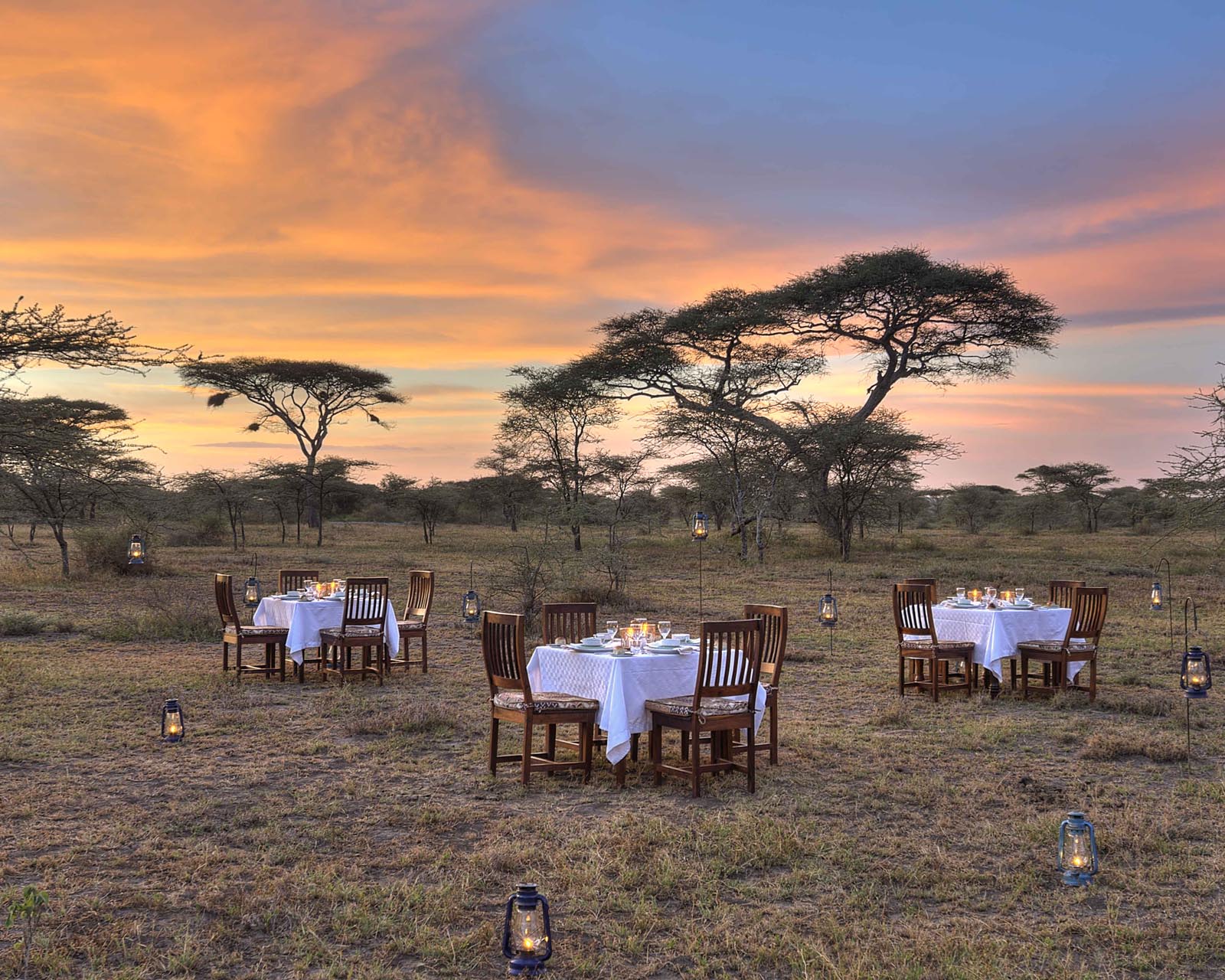 ndutu safari lodge contacts