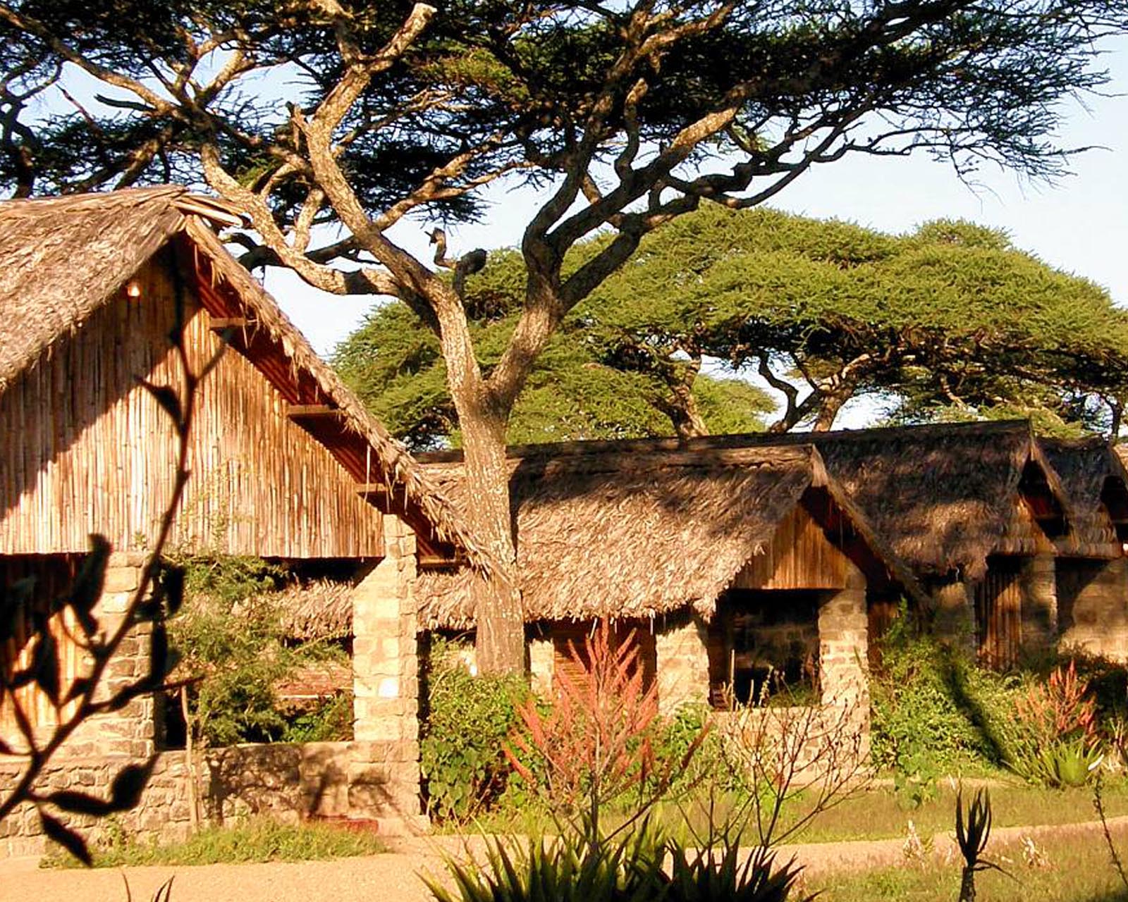 ndutu safari lodge contacts