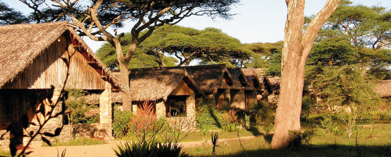 serengeti safari wildlands