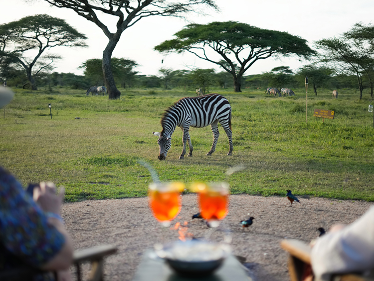 africa safari lodge tanzania