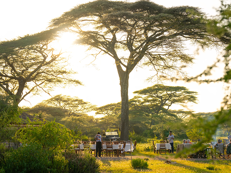 africa safari lodge tanzania